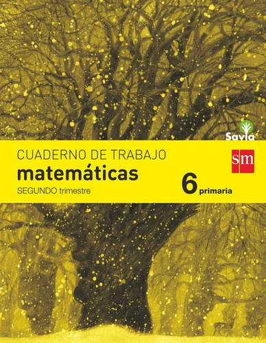 Cuaderno Matematicas 2 6âºep Savia 15 Smmat16ep - Aa.vv