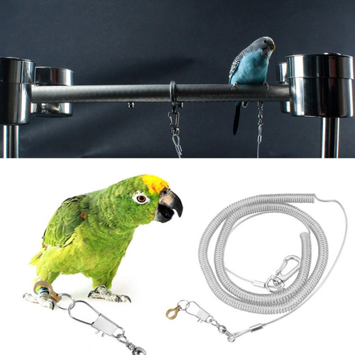 Mascota Flexible Generic 6 M Loro Pájaro Correa Arnes