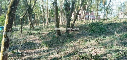 Imagem 3 de 9 de Condominio Ecológico Na Represa. Cod 379