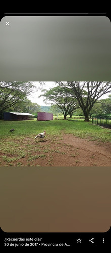 Imagen 6 de 22 de Alquilo Casa Con Zona Verde