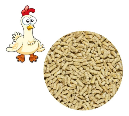 Alimento Balanceado Gallina Ponedora 5kg Nutricion Completa.