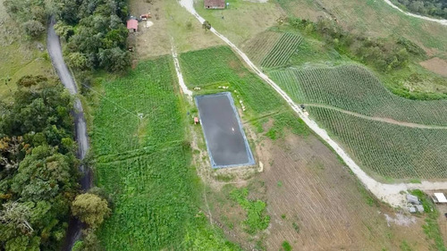 En. Se Vende Finca Agroproductiva Con Casa De Campo Bella