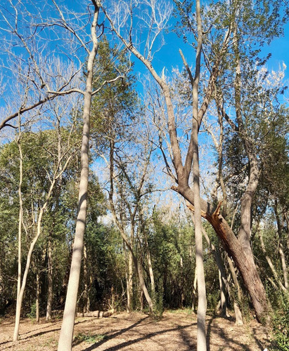 Venta De Terreno En El Barrio Los Bosquecitos
