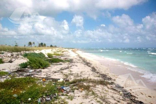 Imagen 3 de 6 de Terreno En Venta En Mahahual
