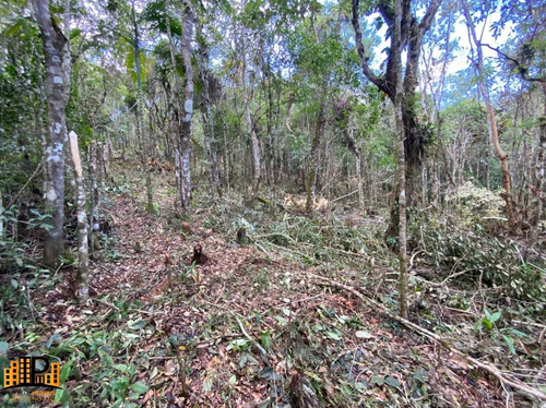 Imagem 15 de 18 de Chácara À Venda 2.749,43m2 Estrada Da Barrinha - São Lourenço/sp - Ch07782 - 69485090