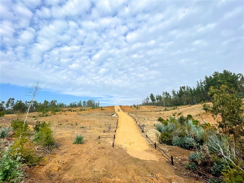 Proyecto Terrenos De 5.000 M2 En Venta - Matanzas