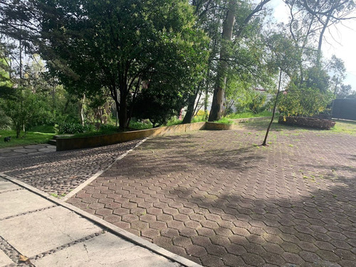 Imagen 23 de 23 de Departamento A Estrenar En Renta A 5 Minutos De Santa Fe, Ex