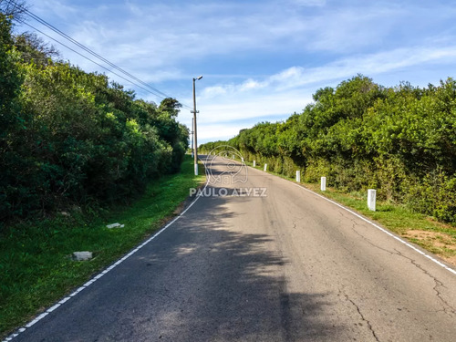 Excelente Ubicación En Cerro San Antonio