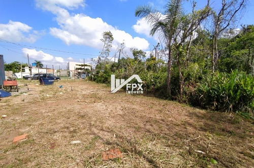 Imagem 2 de 4 de Bom Terreno Na Praia Litoral Sul 144m² - Ref. Ter090/dz