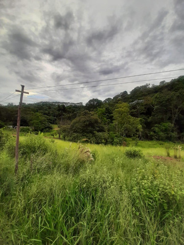 Tenho Alguns Terrenos Disponível Por Um Bom Preço !