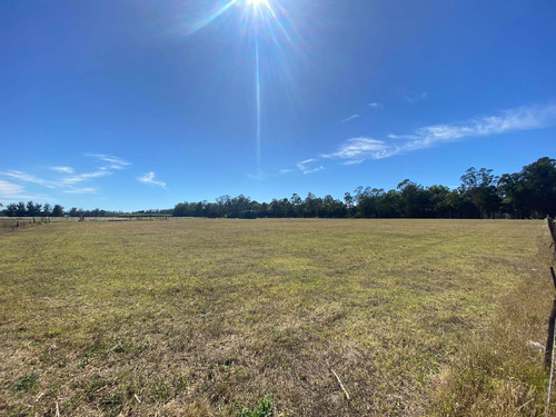 Imagen 12 de 14 de Latorre Prop. Vende Una Hectarea En La Zona De Parque Camet