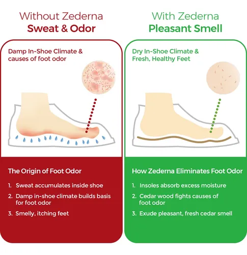 Zapatos Frescos Y Saludables Con Zederna