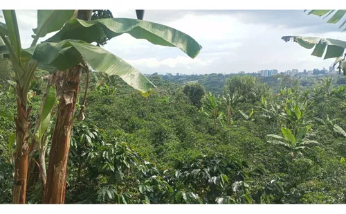Se Vende Finca En Chaguala - Salento