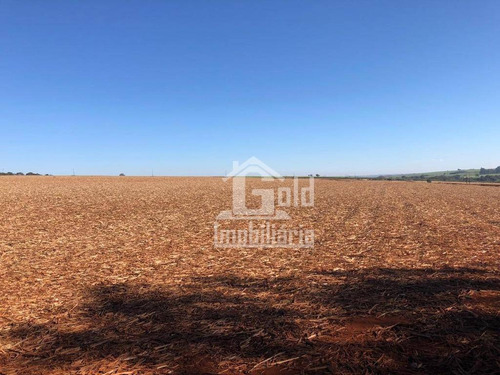 Fazenda À Venda, 270 Alqueires Por R$ 55.000.000 - Zona Rural - São José Da Bela Vista/sp - Fa0146