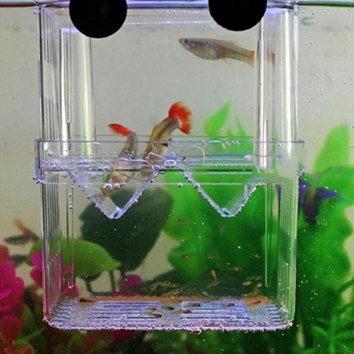 . Caja De Aislamiento De Peces 4 Piezas
