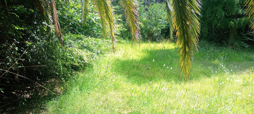 Venta De Terreno En Villa Elisa