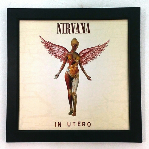 Quadro Lp Nirvana In Utero Quadro Capa De Disco