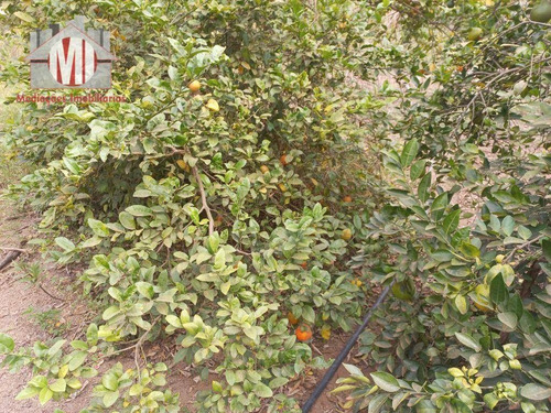 Imagem 19 de 30 de Ótima Chácara Com 3 Dormitórios, Rico Em Água, Lago E Nascente, Arborizada, Bem Localizada, À Venda, 5000 M² Por R$ 280.000 - Rural - Tuiuti/sp - Ch1011