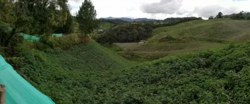 Hermosa Finca En Venta En El Municipio De La Unión Antioquia ~