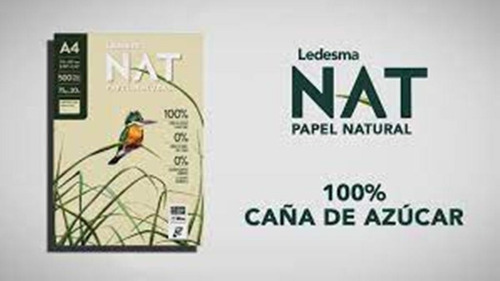 Repuesto A4 Papel Reciclado Ledesma Nat X96 Hojas Rayadas