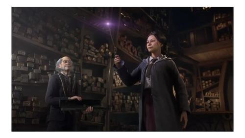 Hogwarts Legacy - Xbox Series Xs (Usado)