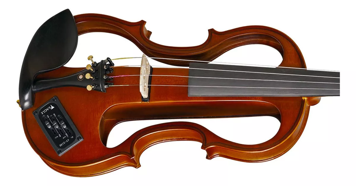 Terceira imagem para pesquisa de violino eletrico