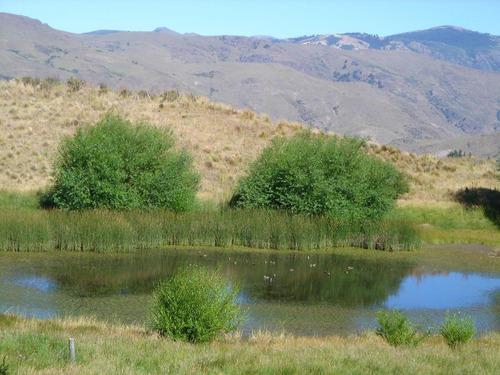 Imagen 29 de 30 de Campo En Venta Zona Alumine, Neuquén