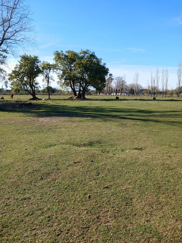 Venta Hermosa Casa Quinta 6 Hectáreas - Chacra En Gualeguay