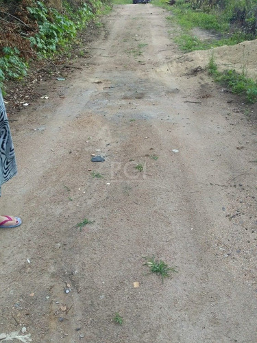 Terreno Em Vila Nova - Li50879502