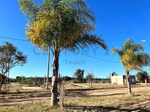 Imagen 7 de 9 de Ruta Prov Nº 1 Km 36 - Lote En Venta - Santa Rosa De Calchines