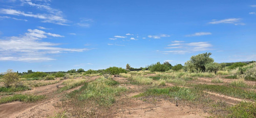 Venta Finca El Carrizal
