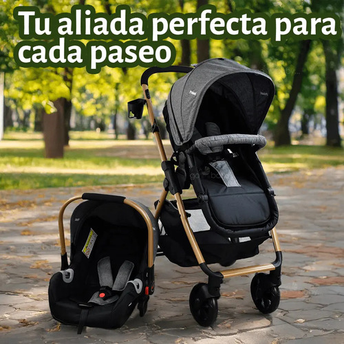 Carriola De Paseo Prinsel Explore Travel System Lx Gris Negro