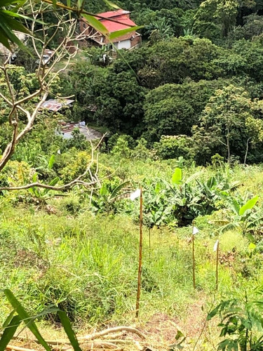 Venta De Lote De Terreno En Sabaneta Del Hatillo, Mcpio El Hatillo, Caracas. Mr