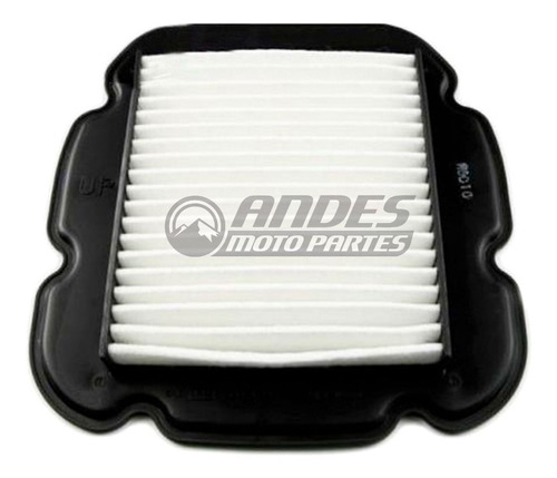 Filtro Aire Dl650 V Strom Suzuki Dl 650 Vstrom