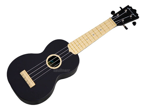 Ukulele Soprano Abs Sumergible Todo Terreno Con Funda