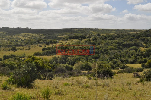 Imagen 2 de 30 de Venta Campo Ubicado En Garzón