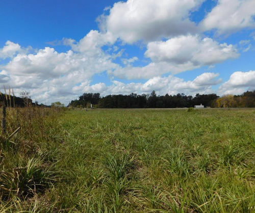Imagen 6 de 12 de Venta - Lote 1766m2 - Sobre Colectora Ruta 8 El Remanso - Exaltacion De La Cruz