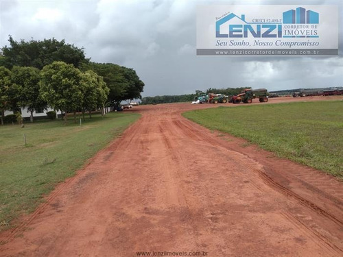 Imagem 16 de 29 de Fazendas À Venda Em Cacu/go - Compre O Seu Fazendas Aqui! - 1479755