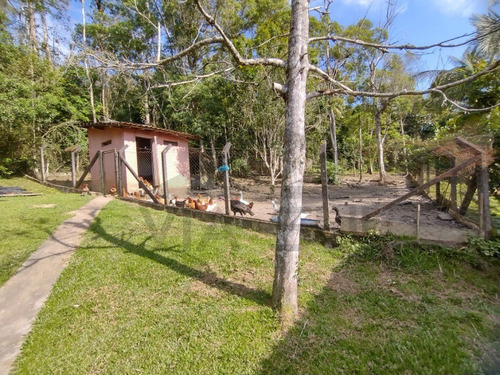 Imagem 28 de 30 de Esta Belíssima Chácara De 7.000 M², Rica Em Água E Envolta Por Mata Nativa Está Localizada Em Juquitiba/sp, A Poucos Minutos Do Rodoanel Mario Covas. - 142 - 70274662