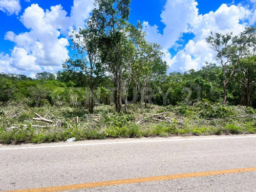 Terrenos De Inversión En Yucatán, Valladolid, México