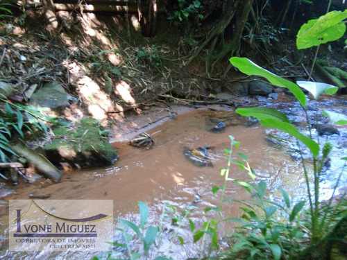 Imagem 9 de 15 de Sítio Em Palmares - Paty Do Alferes - 3401