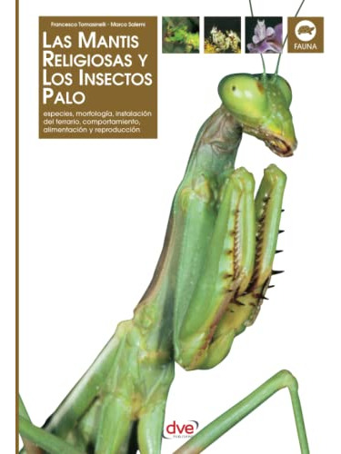 Las Mantis Religiosa Y Los Insectos Palo