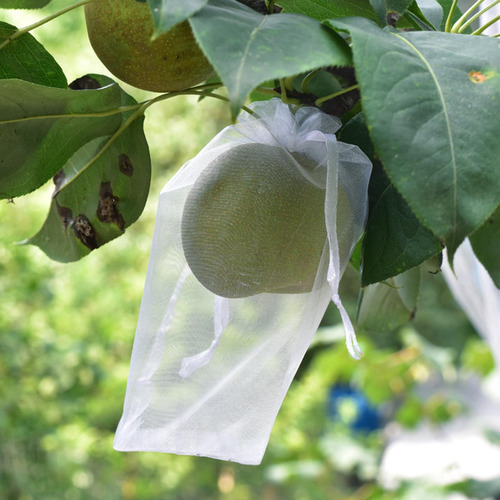 100x Bolsas De Protección De Frutas De Uva, 10cmx12cm