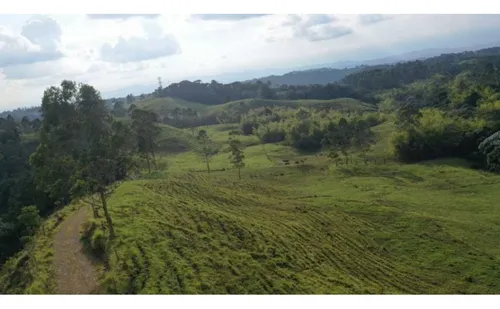 Finca Ganadera Con Espectacular Vista A La Reserva De Barbas