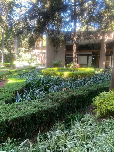 Jardines Del Pedregal,  Departamento Con Jardín Propio