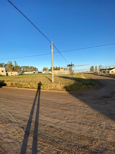 Imagen 3 de 3 de Hermoso Lote En Venta En Don Felipe #trenquelauquen