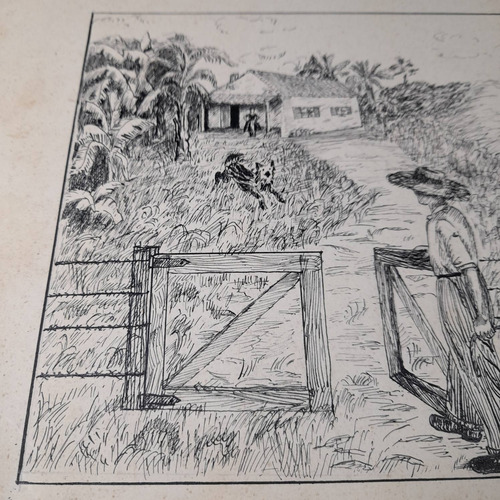 Imagem 3 de 6 de Desenho Pintura Nanquim Bico De Pena Antigo Cavalo Porteira
