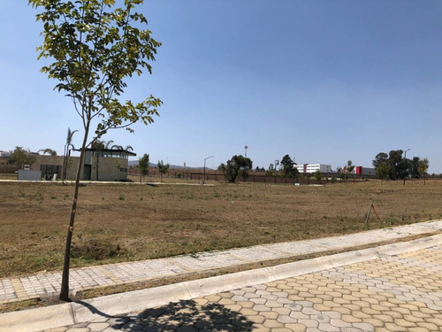 Imagen 7 de 11 de Venta De Lote Residencial Lomas De Angelópolis Ii, (parque Berna)