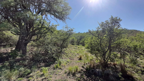 Imagen 15 de 24 de Venta De Casas En Yacanto De Traslasierra