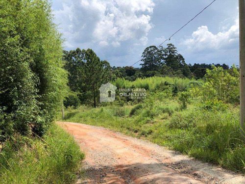 Imagem 7 de 13 de Área 96000m², Brotas (caucaia Do Alt0) - R$ 5.76 Mi, Cod: 4069 - V4069
